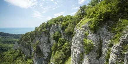 Eagle Rock - o descriere, poze, în cazul în care flora și fauna, precum și ...