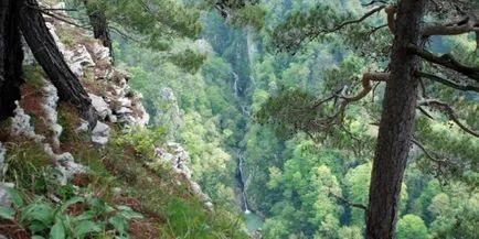 Eagle Rock - leírása, fotók, ahol a növény- és állatvilág, valamint a ...