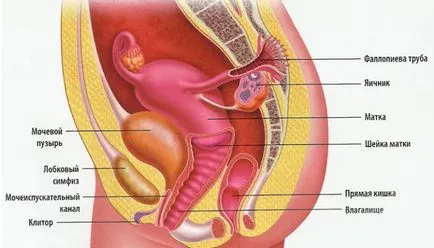 Omiterea tratamentului vaginale