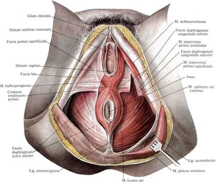 Omiterea tratamentului vaginale