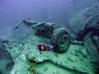 Ünnepnapok Sharm el Sheikh, túrák és látnivalók