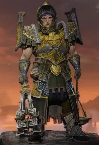 Ghid Paladin Panzar