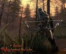 Hunter-ranger din Neverwinter (Archer)