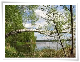 Lacul Uvildy, regiunea Chelyabinsk