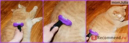 Furminators FURminator - «FURminator macska hosszú haj deluxe részletes áttekintést hol vásárolnak az eredeti