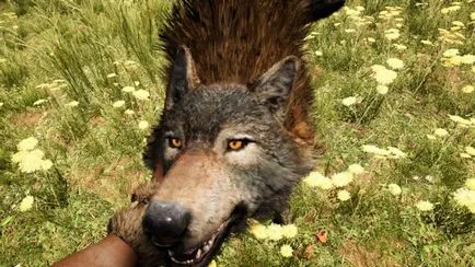 Hyde az állatok háziasítása Far Cry ősi