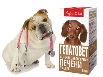 инструкции Gepatovet куче за употреба, цена, ревюта