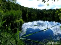 Miért mocsár „buborékos” és éget 10 tény, csak annyit kell tudni, kérdés és válasz, a felhozott érvek és tények