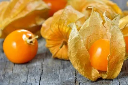 Полезните свойства на Physalis и как тя може да се приготви