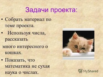 Представяне на проекта на тема математика в живота на една котка - 2011 - 2012 учебна година