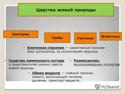 Prezentarea pe lecție în corpul plantelor biologie ca un sistem viu preparat varyushkina