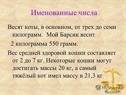 Представяне на проекта на тема математика в живота на една котка - 2011 - 2012 учебна година