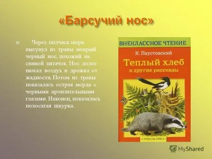 Prezentarea pe zăpadă cădea ca o ploaie de sticlă care se încadrează din copac