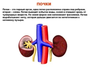 Предотвратяване на бъбречни заболявания