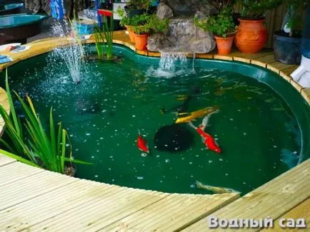 Pond в апартамента няма ограничение за съвършенство - водна градина