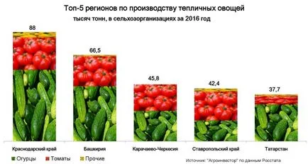 Cinci regiuni au colectat o a treia recoltă de legume de seră