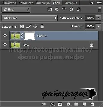 fundal neclar modul de a face sau de a estompa fundalul în Photoshop CS5 și CS6 - ateliere - pentru