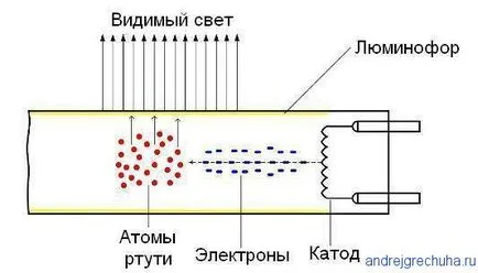 Javítása energiatakarékos lámpák, javítsa a saját kezét