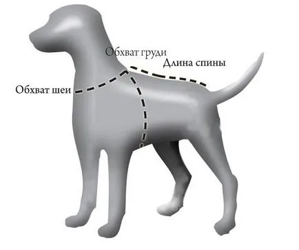 размери Дрехи за кучета