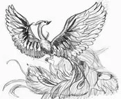Paint etape de fazani - cum să atragă un fazan pe blog artist grafic Novikova