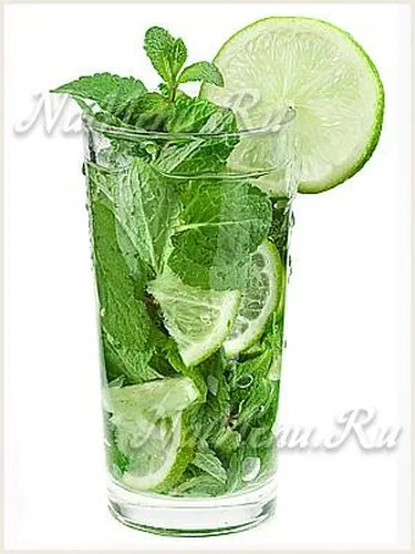 Mojito рецепти у дома