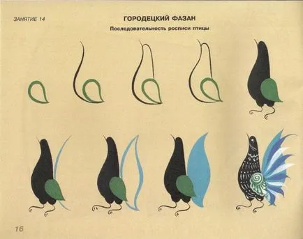 Festék fácán szakaszok - hogyan kell felhívni a fácán blog grafikusművész Novikova