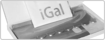 Igal - tervezés Grill