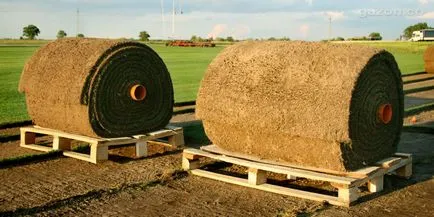 Turf futballpályákhoz - hengerelt prémium gyep a gyep - a