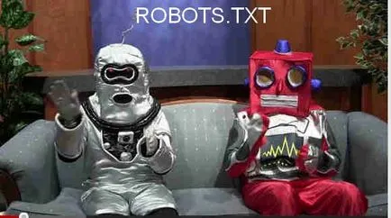 robotok txt