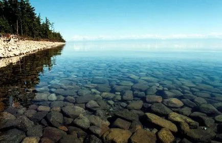 Faptele cele mai interesante despre lacul Baikal, vivareit