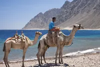 Sharm El Sheikh - atracții, climă - în cazul în care să rămână și ce să facă în Sharm El Sheikh