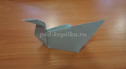 Povestea origami „gât Gray“