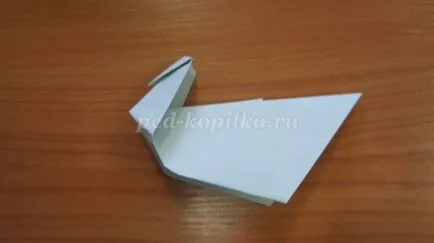 Povestea origami „gât Gray“