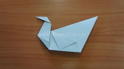 Povestea origami „gât Gray“