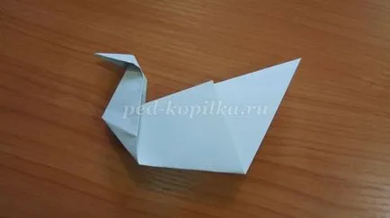 Povestea origami „gât Gray“