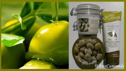 Ingrijirea corpului cu ulei de măsline magazin organism, yves rocher, Dalan d comentarii măsline