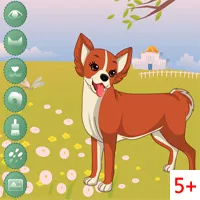 Joc Dog Beauty concurs on-line, joc gratuit