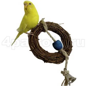 Játékok cockatiels