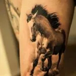 Ló tetoválás érték a férfiak és nők, fotók, tetoválás minták