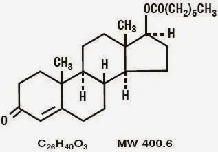 Testosteron Enantat - Farmacologie vigoare