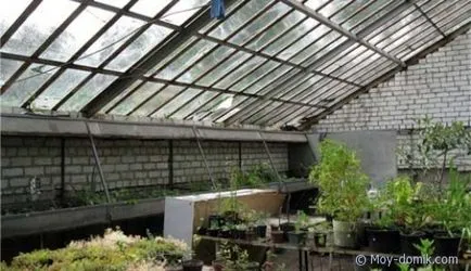 Greenhouse termosz a kezüket, az építési és javítási házak saját kezűleg