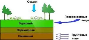 tablete de turbă și vase pentru răsaduri de - modul de utilizare a