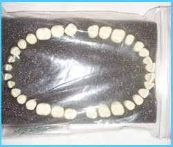 model de predare a maxilarului (fantomelor dentare) - studopediya
