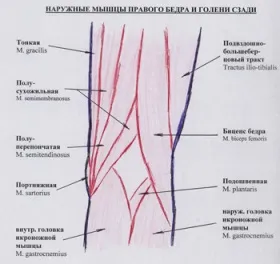 Diagnostic cu ultrasunete chistului Baker - n