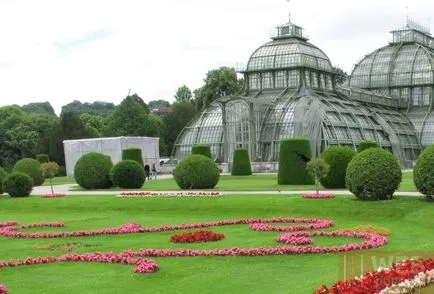 Viena Tiergarten Schönbrunn - cea mai veche din lume