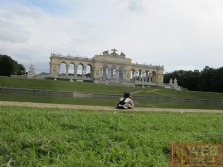 Viena Tiergarten Schönbrunn - cea mai veche din lume