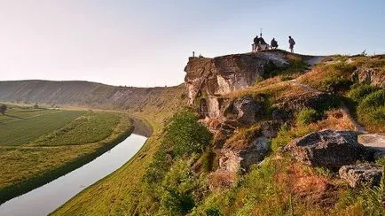 Вино от черен бъз вино вкусен морков необичайно в чаша