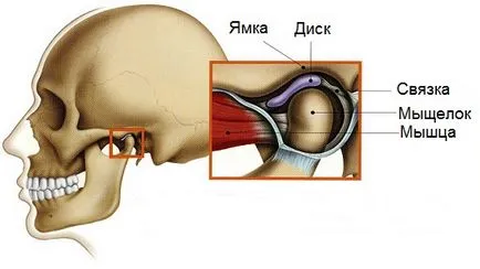 Възпаление на темпоромандибуларната става симптоми и лечение