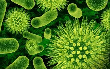 Tot ce trebuie sa stiti despre bacterii, știință și viață