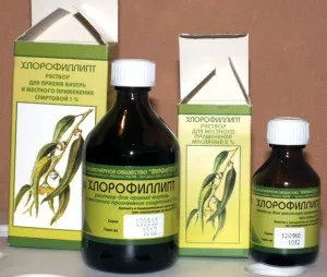 Chlorophyllipt за лечение на синузит ефективни рецепти за отвари